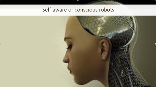 Self aware robot